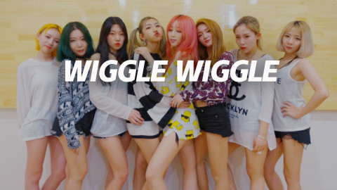 【口袋舞蹈】一把全抱走,性感小姐姐《Wiggle Wiggle》翻跳